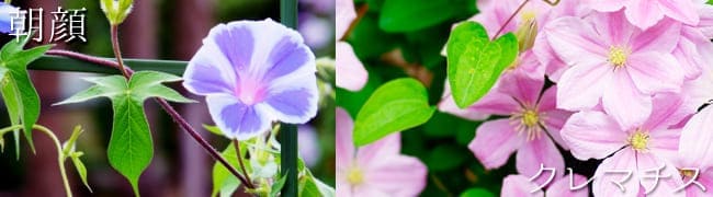 ����������������������ޥ���