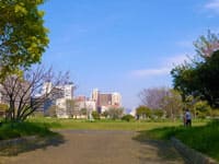 ���ȵ��׸���