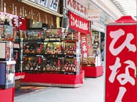 ����Į����������