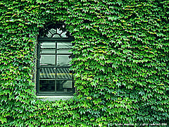 �����ӡ���������������