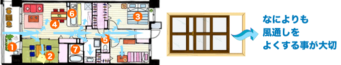 ���᥸����ࡪ�н�ˡ