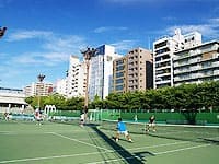 �ץƥ˥����󥿡�