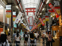 ŷ�����ھ�Ź��