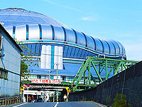 ������ɡ������